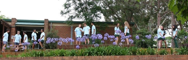 Groups of students talking in front of garden beds
